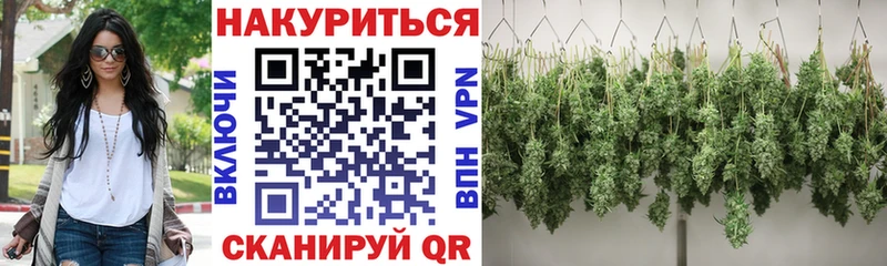 Купить закладку Сегежа КОКАИН  Амфетамин  Псилоцибиновые грибы  Мефедрон  Гашиш 