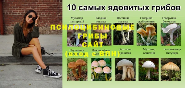 гидра Балахна