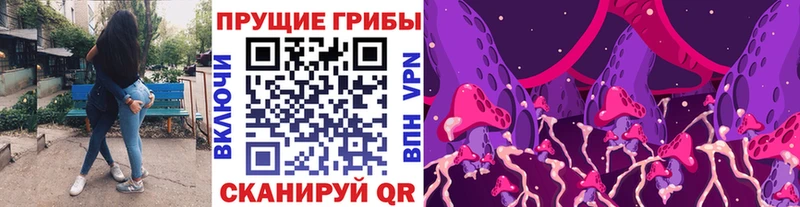 Галлюциногенные грибы мицелий что такое наркотик KRAKEN Сегежа