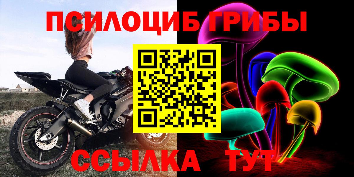 продажа наркотиков  Вход с VPN  Псилоцибиновые грибы Psilocybe  Сегежа  Галлюциногенные грибы мухоморы 